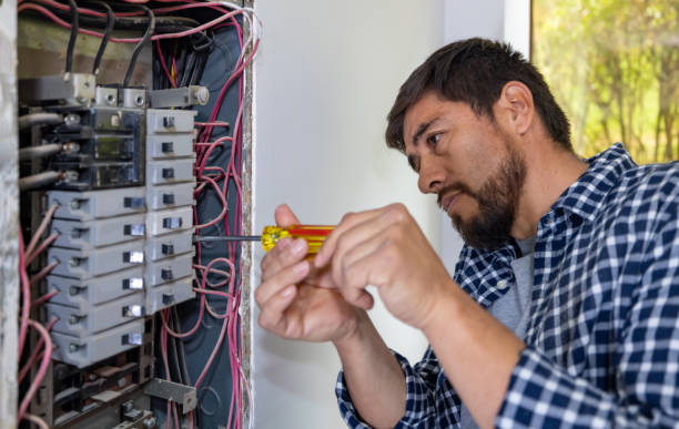 Best Electric Panel Repair  in Sturgeon Bay, WI